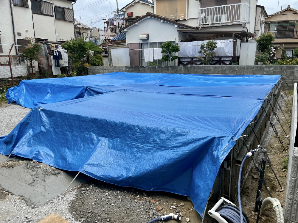 雨養生