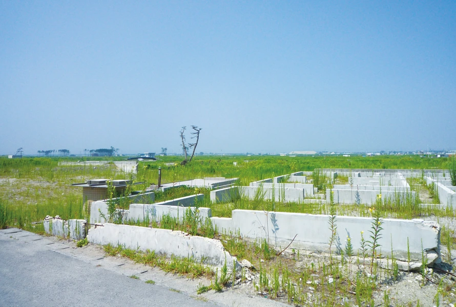 太陽光発電事業