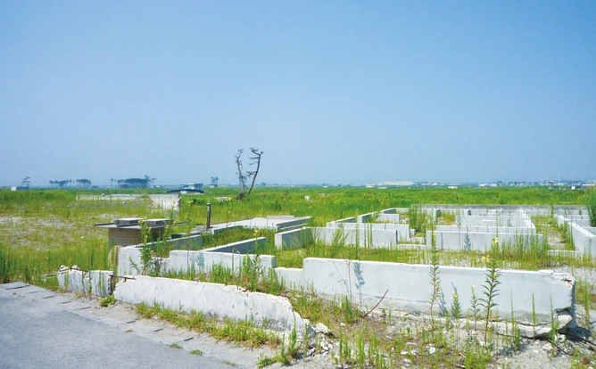 太陽光発電事業