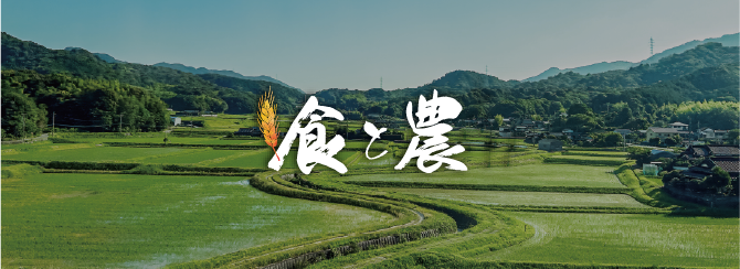 山あいに広がる田園風景