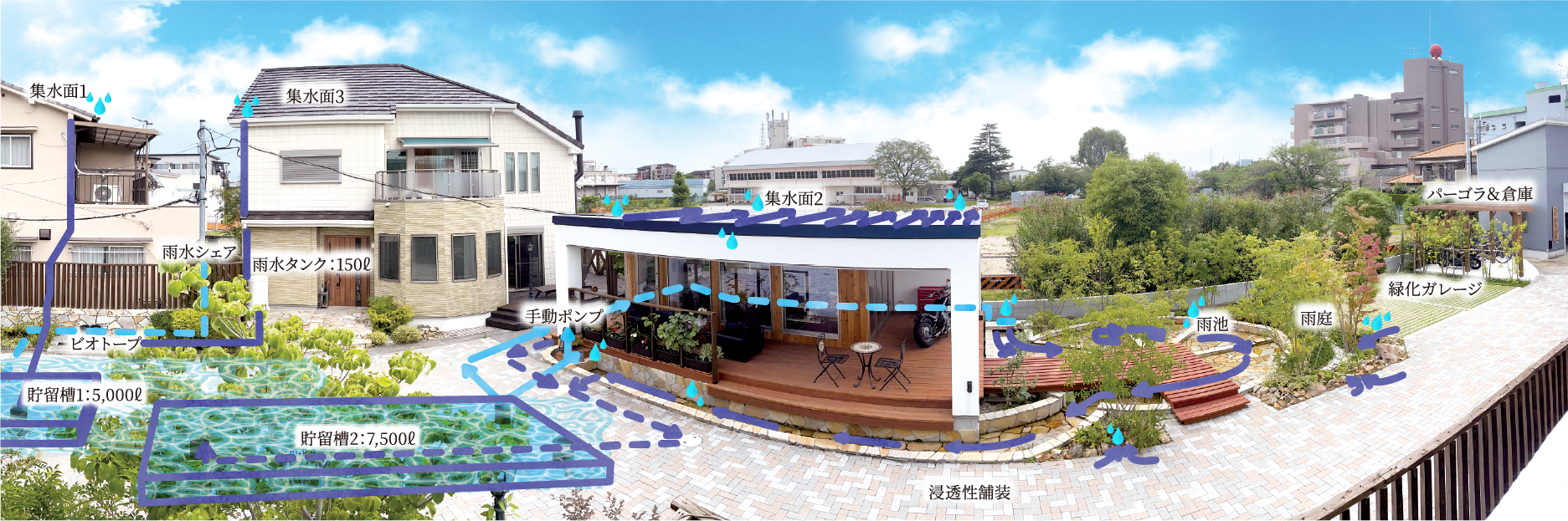 雨水を活用する基住オフィス全景