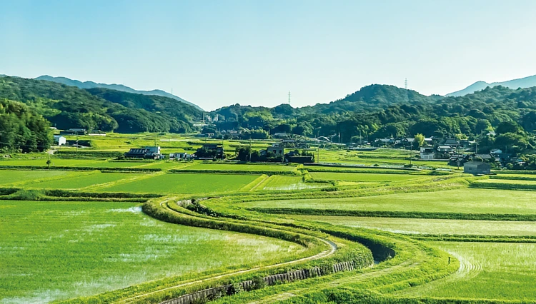 新しい里山Project