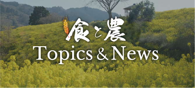 菜の花畑